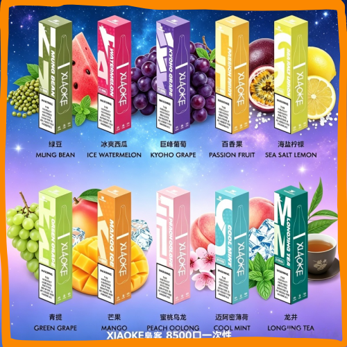 XIAOKE梟客 8500口一次性電子煙|多種冰感水果口味,台灣熱賣款拋棄式電子菸